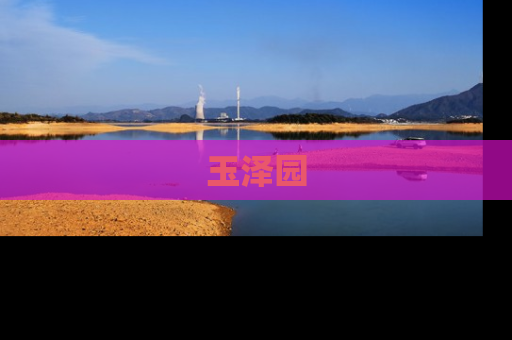玉泽园