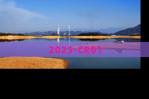 2023-CR01