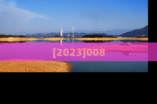 [2023]008