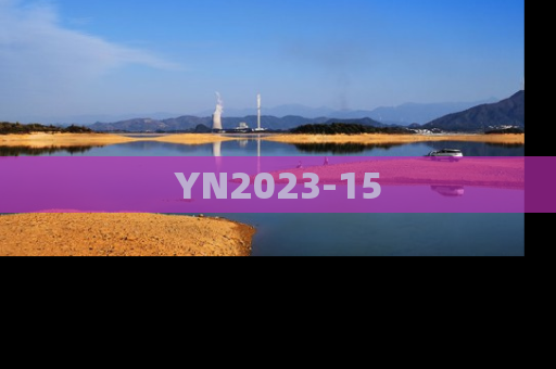 YN2023-15