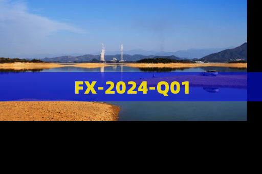 FX-2024-Q01