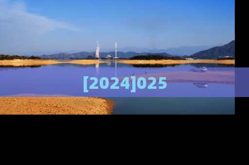 [2024]025