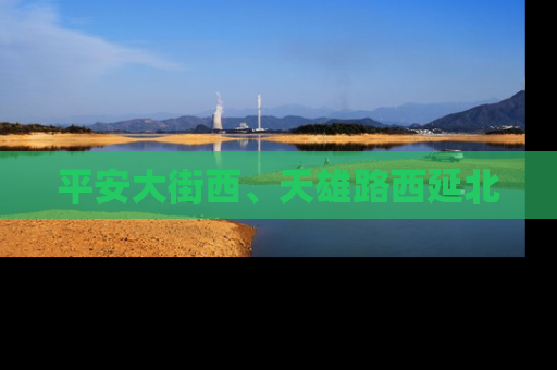 平安大街西、天雄路西延北