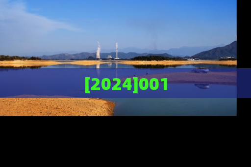 [2024]001