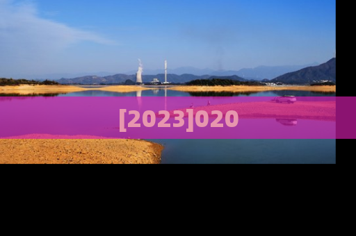 [2023]020