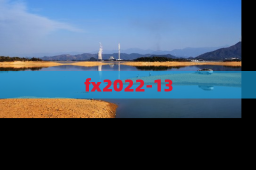 fx2022-13