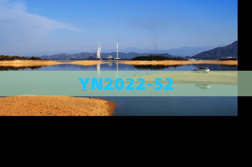 YN2022-52