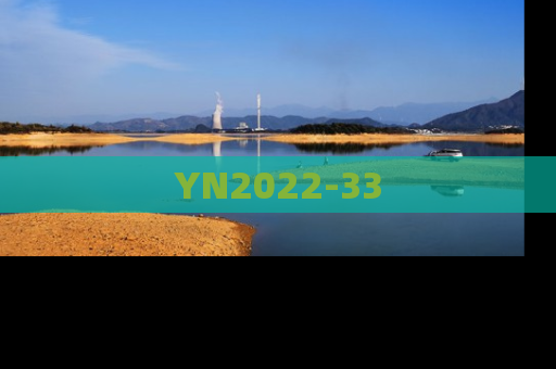 YN2022-33