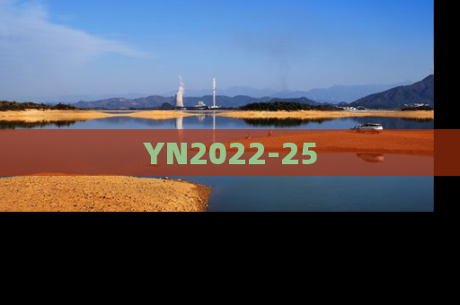 YN2022-25