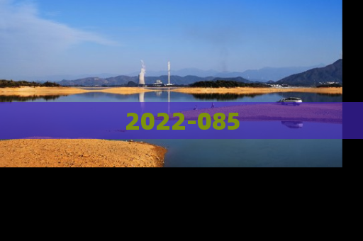 2022-085
