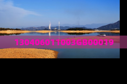 130406011003GB00019