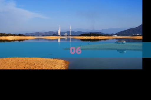 06