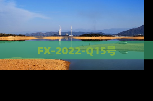 FX-2022-Q15号