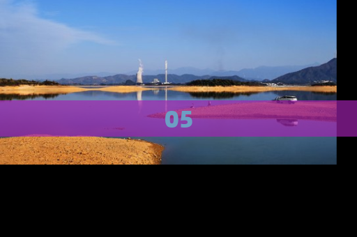 05