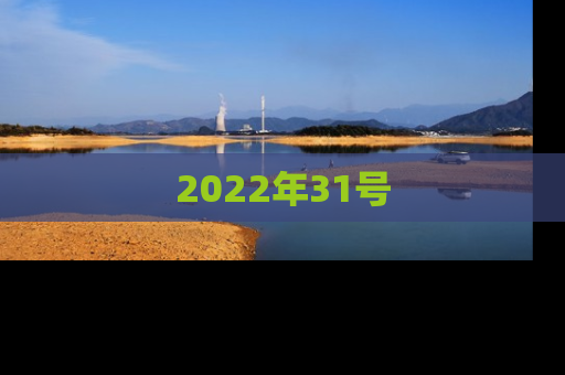 2022年31号