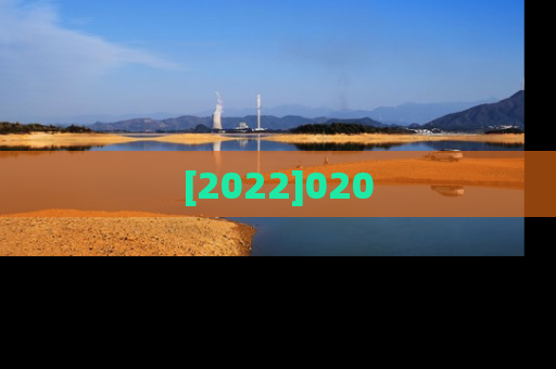 [2022]020