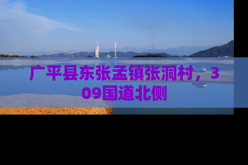 广平县东张孟镇张洞村，309国道北侧