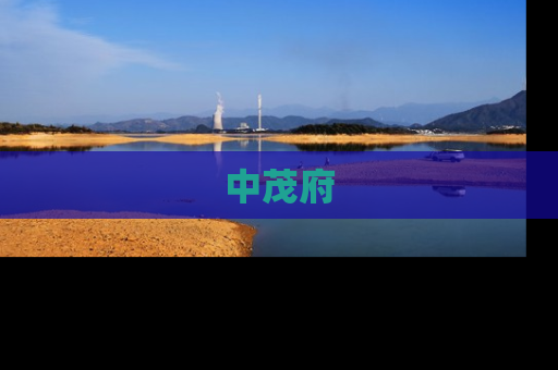 中茂府