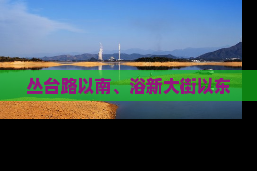 丛台路以南、浴新大街以东