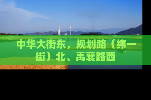 中华大街东，规划路（纬一街）北、禹襄路西