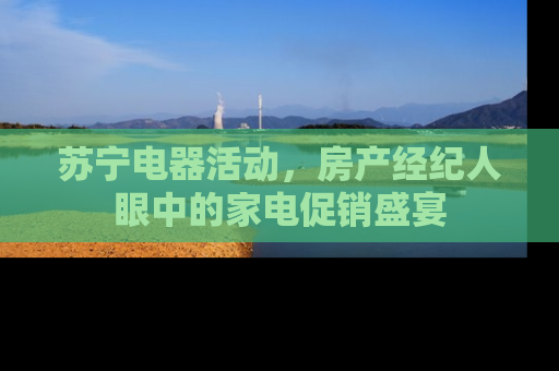 苏宁电器活动，房产经纪人眼中的家电促销盛宴