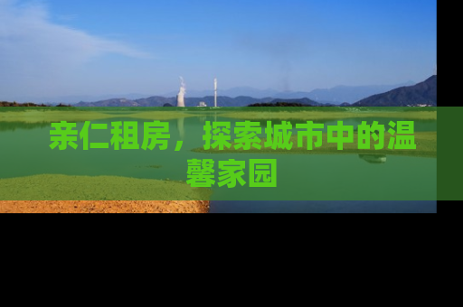 亲仁租房，探索城市中的温馨家园