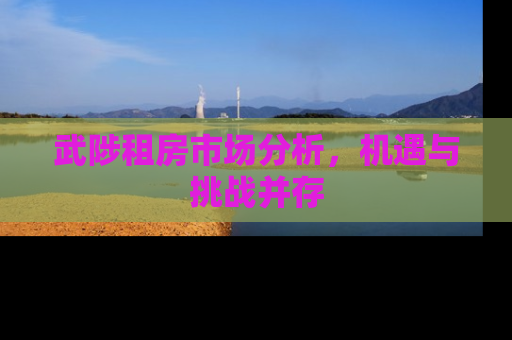 武陟租房市场分析，机遇与挑战并存