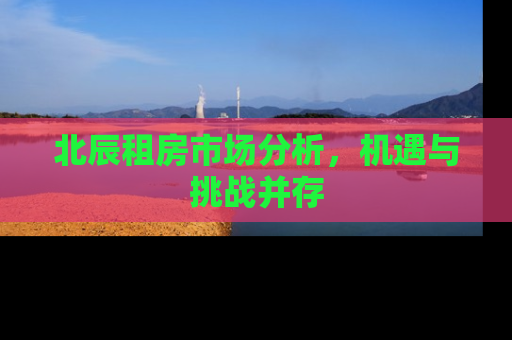 北辰租房市场分析，机遇与挑战并存