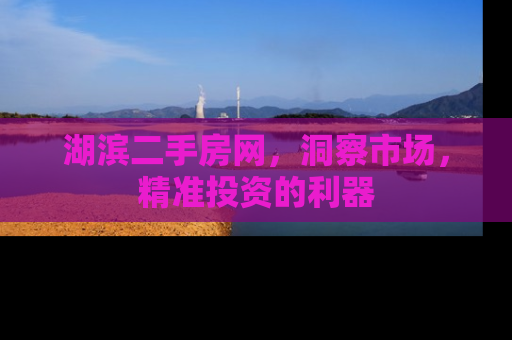湖滨二手房网，洞察市场，精准投资的利器