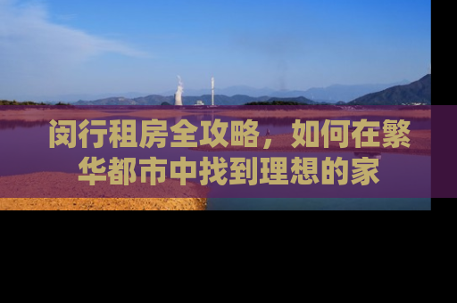 闵行租房全攻略，如何在繁华都市中找到理想的家