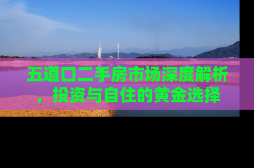 五道口二手房市场深度解析，投资与自住的黄金选择