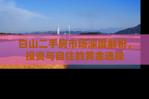 白山二手房市场深度解析，投资与自住的黄金选择