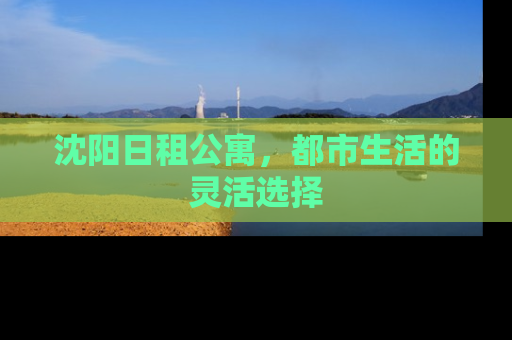 沈阳日租公寓，都市生活的灵活选择
