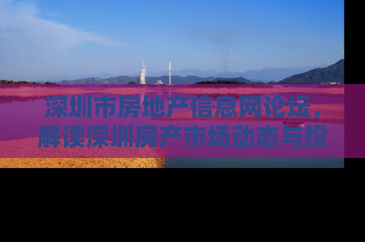 深圳市房地产信息网论坛，解读深圳房产市场动态与投资策略