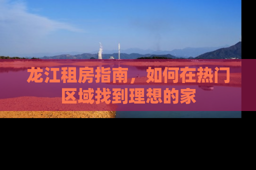 龙江租房指南，如何在热门区域找到理想的家