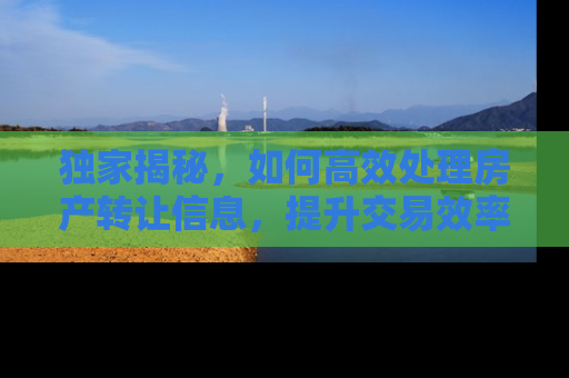 独家揭秘，如何高效处理房产转让信息，提升交易效率