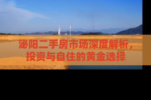 泌阳二手房市场深度解析，投资与自住的黄金选择