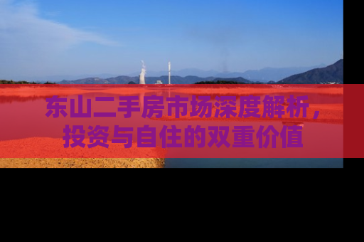 东山二手房市场深度解析，投资与自住的双重价值