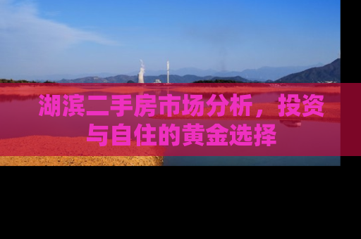 湖滨二手房市场分析，投资与自住的黄金选择