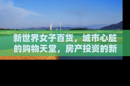 新世界女子百货，城市心脏的购物天堂，房产投资的新宠儿