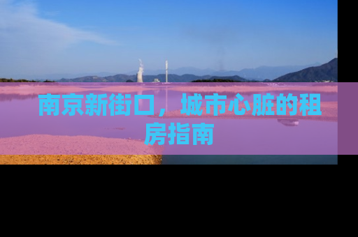 南京新街口，城市心脏的租房指南