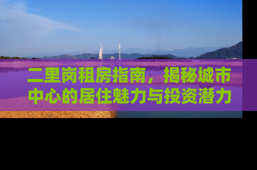 二里岗租房指南，揭秘城市中心的居住魅力与投资潜力