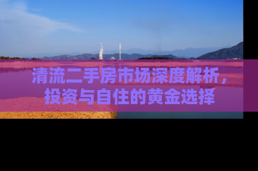 清流二手房市场深度解析，投资与自住的黄金选择