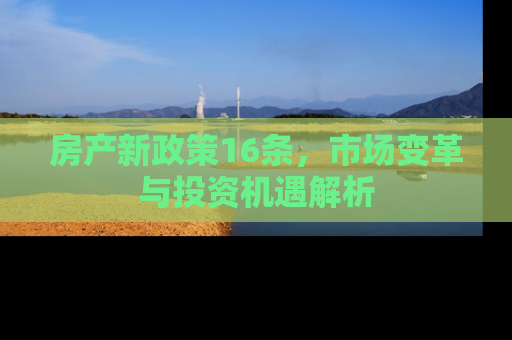 房产新政策16条，市场变革与投资机遇解析
