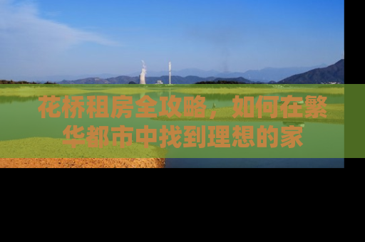 花桥租房全攻略，如何在繁华都市中找到理想的家