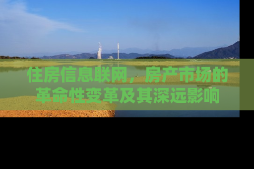 住房信息联网，房产市场的革命性变革及其深远影响