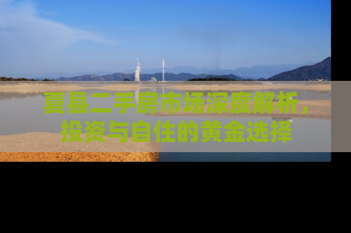 夏县二手房市场深度解析，投资与自住的黄金选择