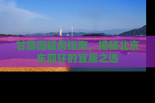 甘露园租房指南，揭秘北京东四环的宜居之选