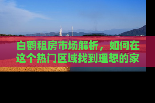 白鹤租房市场解析，如何在这个热门区域找到理想的家