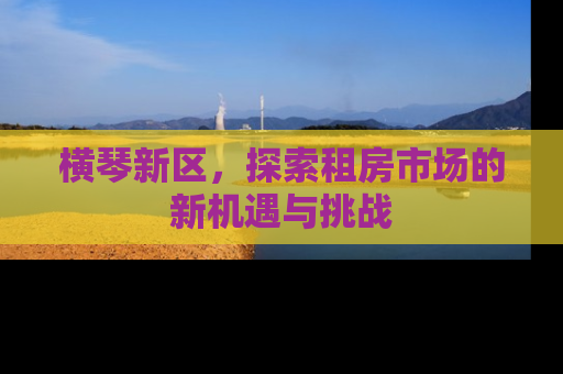 横琴新区，探索租房市场的新机遇与挑战